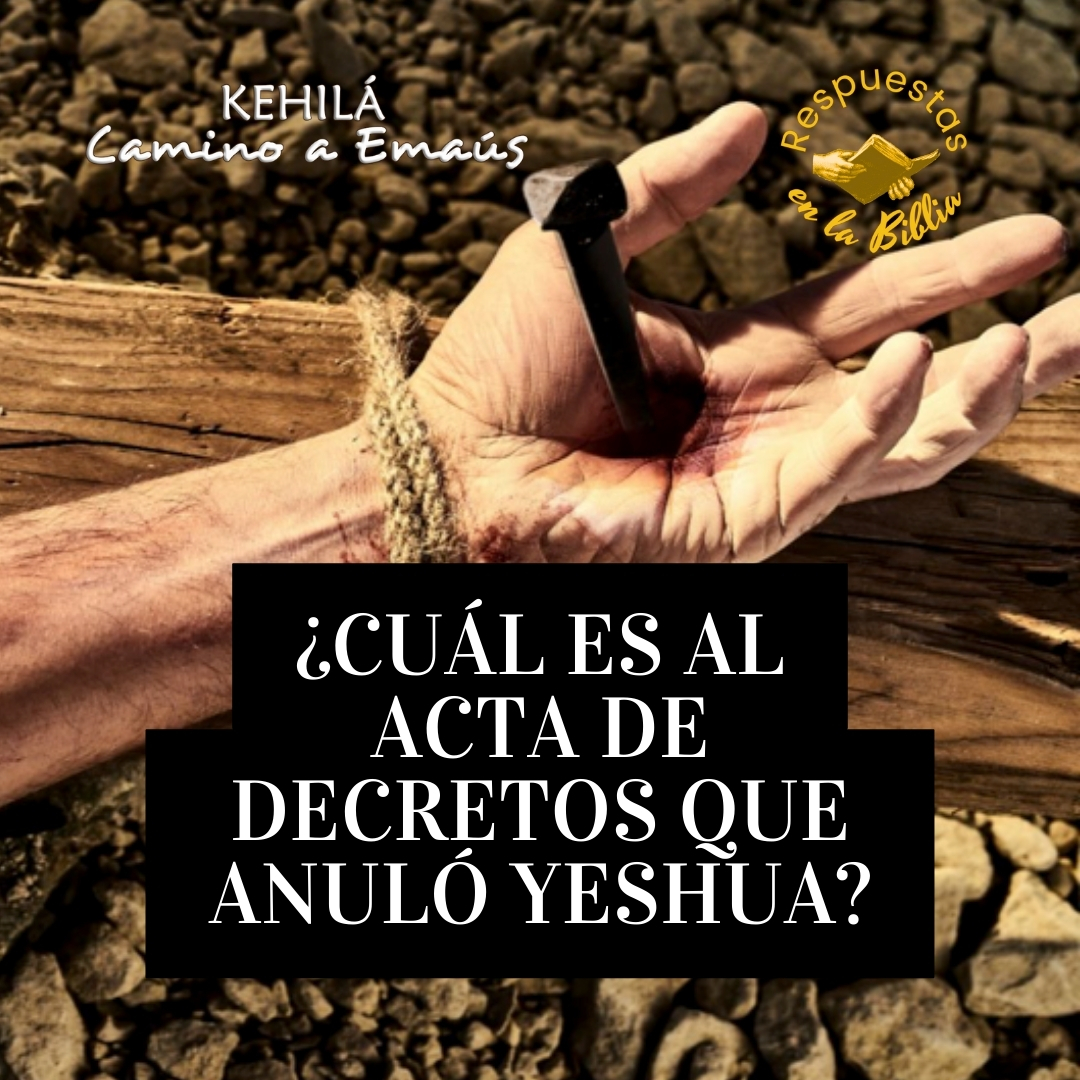 Anulo 214. ¿Cuál es al acta de decretos que anuló Yeshua? | Respuestas en la ...