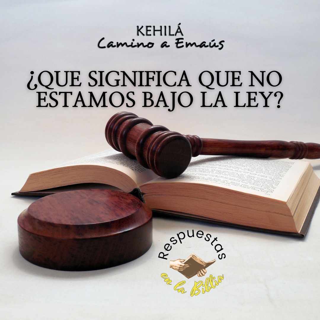 213. ¿Qué significa que no estamos bajo la ley? | Respuestas en la Biblia